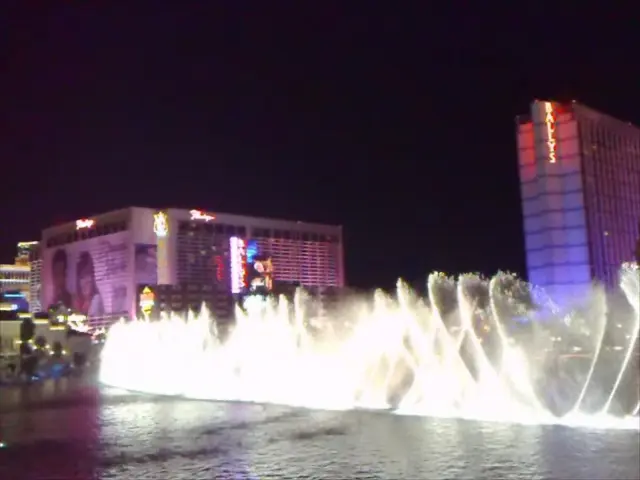 Evaluation of the LifeSaver Jerrycan (Essential for Vanlife, or lacking?)