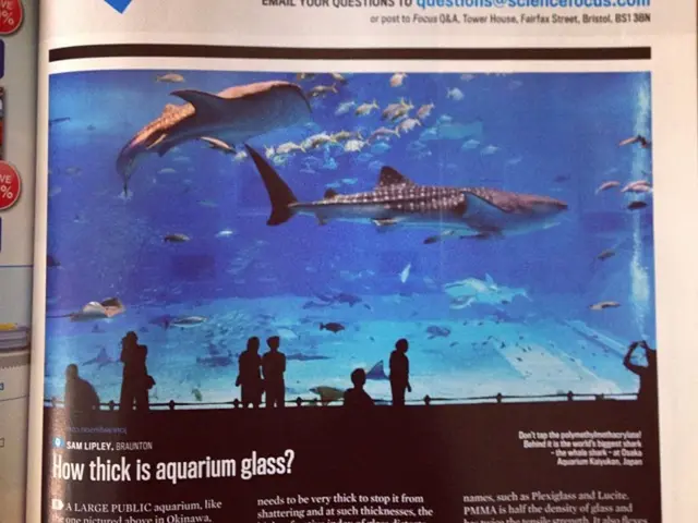 Is a Post-Pandemic Vacation in Hawaii Still Justified as a Luxury Expense?