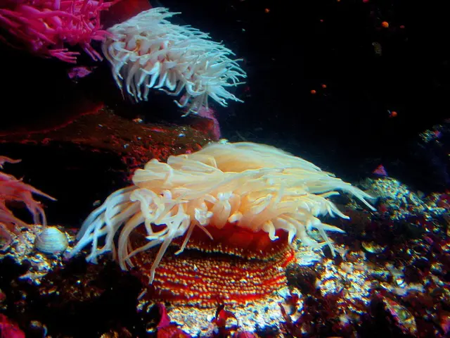 Tourist boat capsizes in Ha Long Bay, Vietnam, claiming 34 lives; environmental and climate risks...