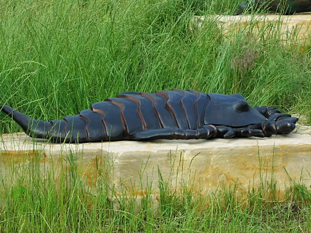 Fortunate Cosmic Alignments Set to Benefit Three Astrological Signs on August 13, 2025