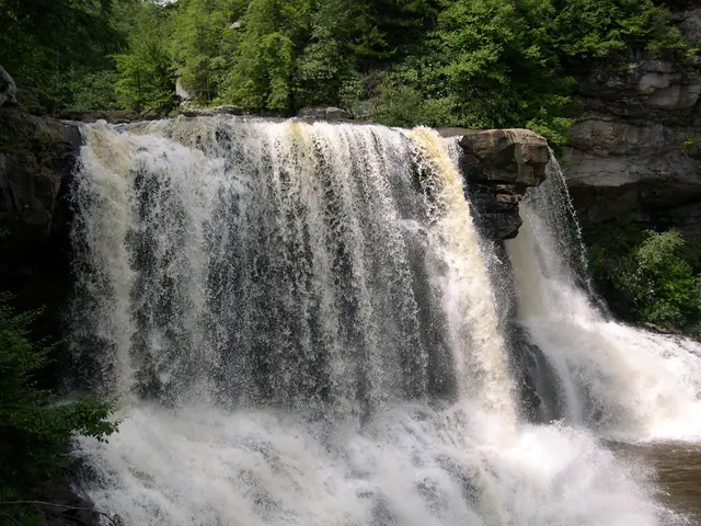 Alliance of Elves Safeguards Iceland's Natural Treasures