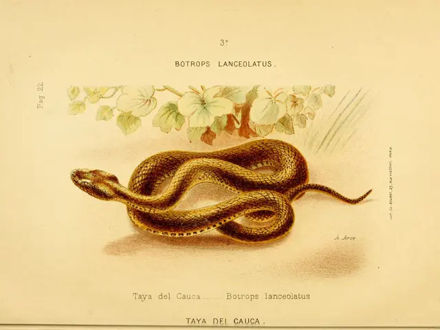 Interpreting the Symbolism of Dream Encounters with Yellow Snakes