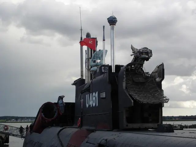 Under the surface of the Baltic Sea, Baffling Sighting Made by Holidaymakers