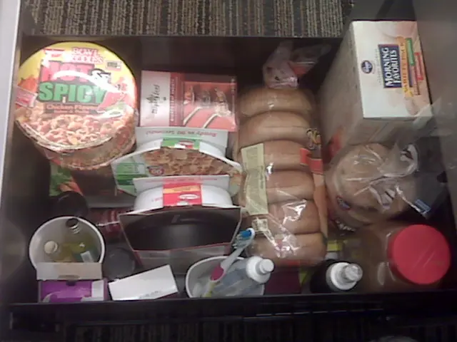 Walmart Offerings for Vacation: 27 Items You May Overlook for Your Family Journey