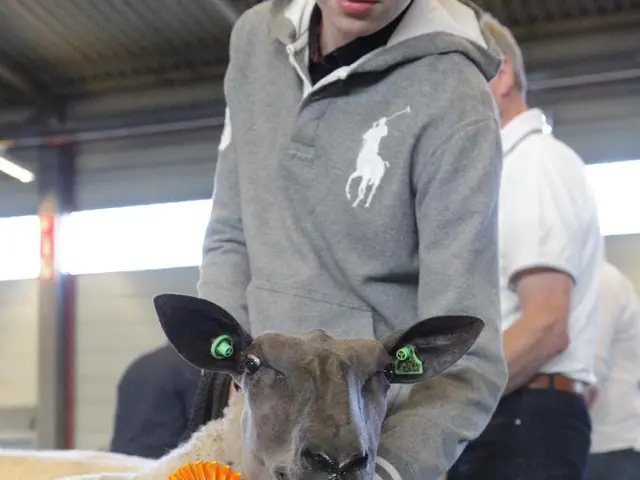 In Baden-Württemberg, a treat for families: Zero cost admission to the zoo