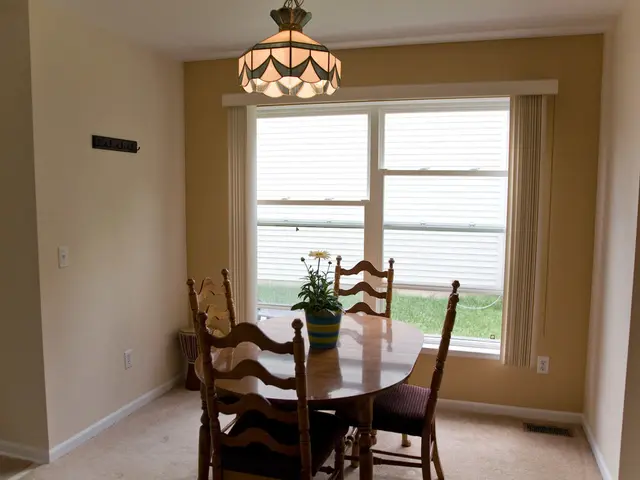 Essential Indoor Plant Maintenance for Boosting Growth and Lifespan