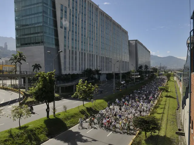 Challenging Terrain at Czarna Góra Bike Park