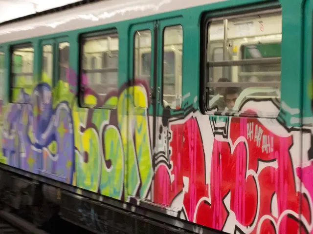 Federal authorities apprehend a 39-year-old individual onboard the ICE 153 train journeying from...