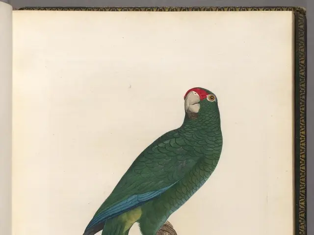 Scheduling the Perfect Vacation: Insights on Choosing the Ideal Time for Your Getaway