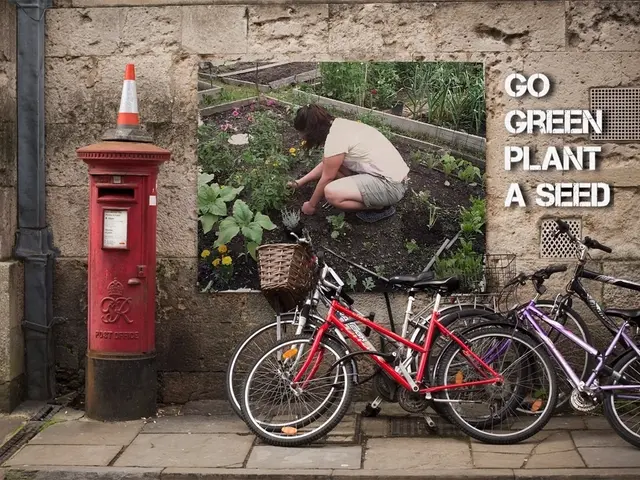 Navigating motorhome journeys: Strategies to steer clear of common glitches