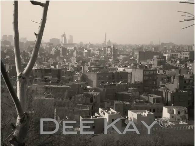 Capturing an Ideal Memento: A Snap to Remember