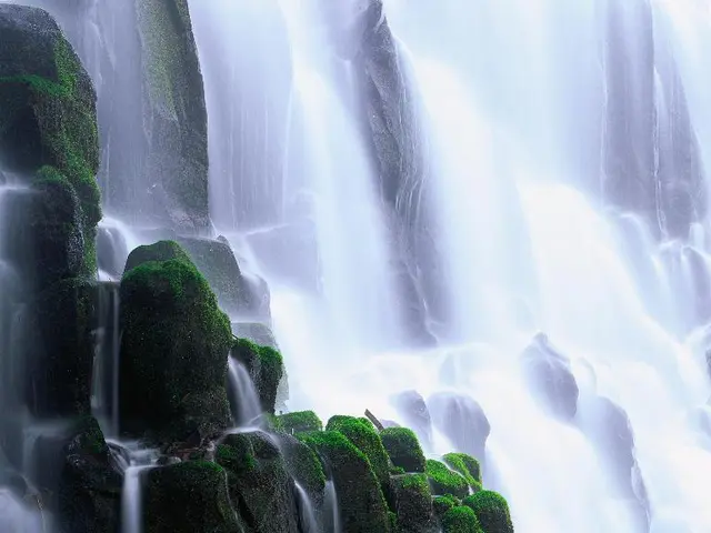 In this image I can see on the right side it is the waterfall. In the middle it looks the moss.