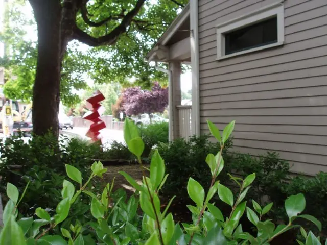 In this picture we can see few plants, trees and buildings, and also we can find few vehicles.