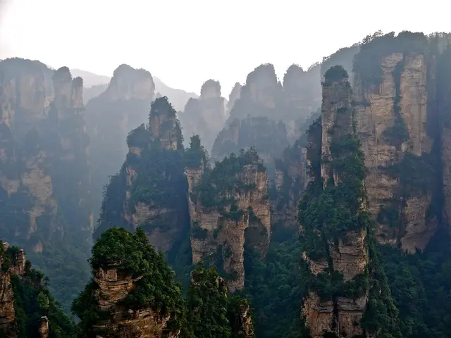 In this image there are so many mountains covered with trees.