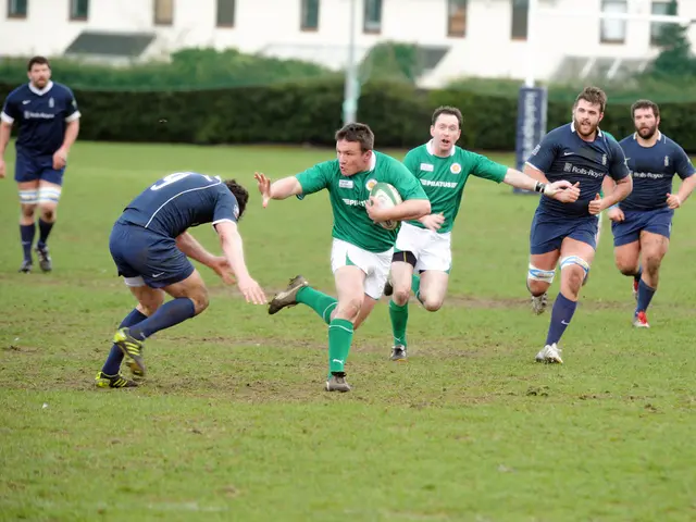 On the background we can see building with windows. Here we can see plants. In a ground we can see...
