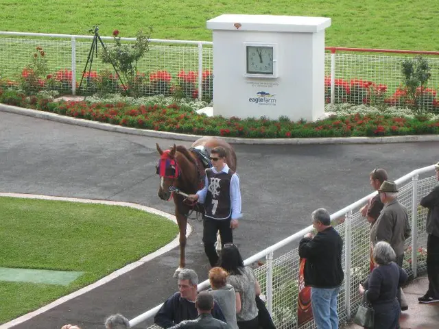 In the image we can see there is a horse standing and beside the horse there is a man who is...