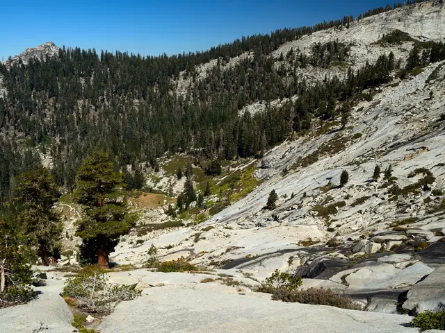 In this image there are trees and rocky mountains.