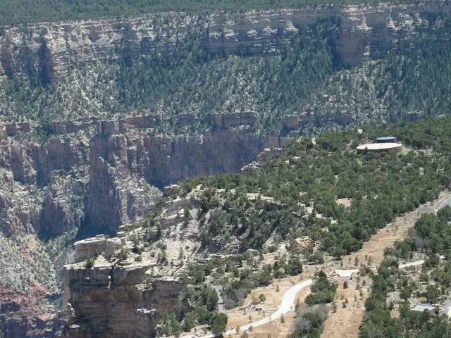 In this image there is a vehicle on the road. There are trees on the land. Background there are...