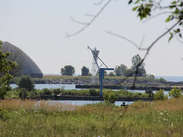 In the image the land is covered with grass in the front and followed by a lake, it seems to be a...