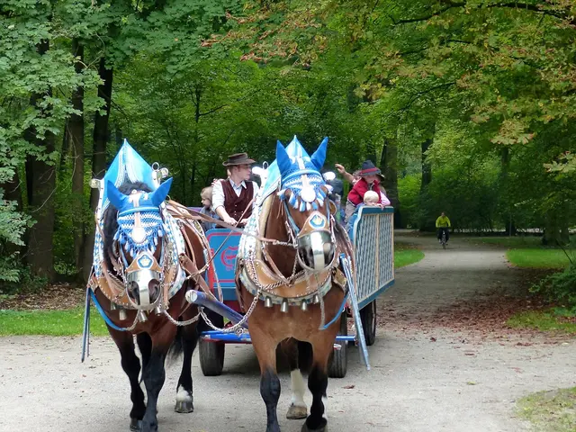In the image there is a horse tanga with few people sitting on it and behind there is a man riding...