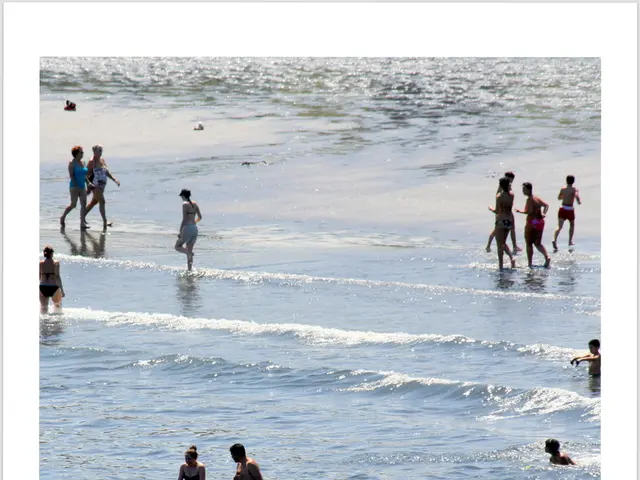 In this image, there are group of people walking on the beach. There are some persons at the bottom...