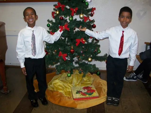 In this image we can see one decorated Christmas tree, one box on the surface of the floor, two...