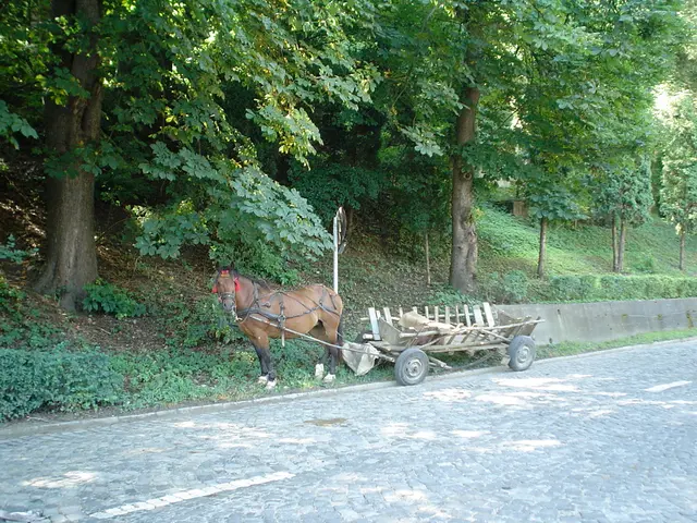 This picture is taken beside the road. In the center, there is a horse tied with a rope to a cart....