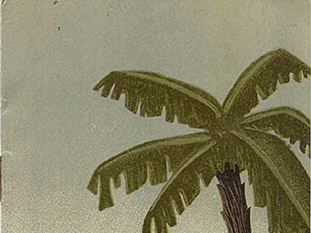 The image shows a poster with a painting of a palm tree, a bus, plants, a fence, a ship on the...