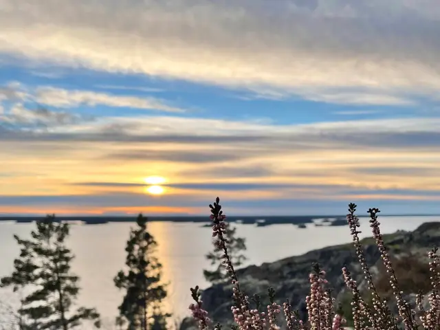 The image shows a beautiful sunset over the ocean from the top of a hill. The sky is painted with a...