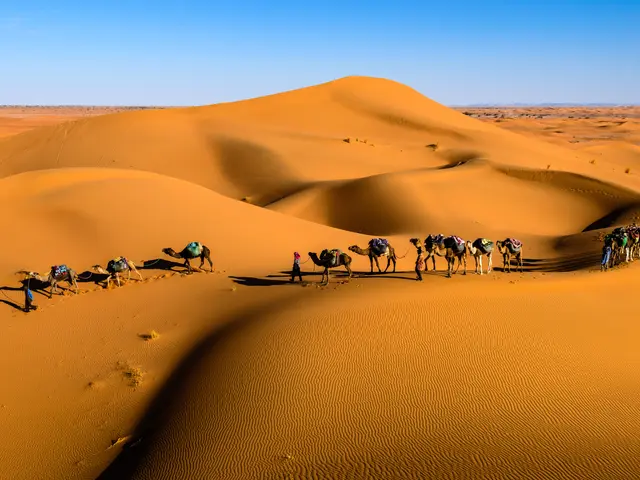 The image shows a group of people riding camels across the vast Sahara Desert in Morocco. The sky...
