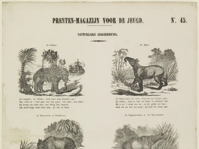 The image shows an old book with a variety of animals on it, including a giraffe, elephant, and...