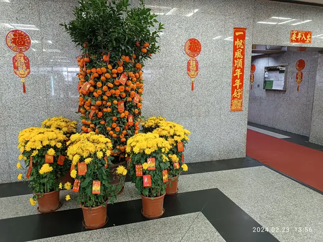The image shows a lobby with a bunch of potted plants and flowers in front of a wall adorned with...