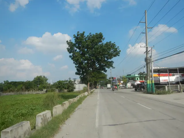 The image shows a road with vehicles driving on it, electric poles with wires running along the...