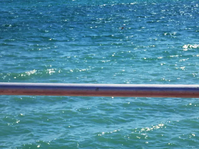 The image shows a metal rod in the middle of a body of water, with the sun glistening off the...