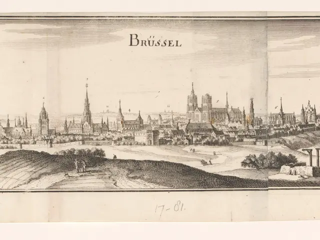 The image shows an engraving of the city of Brussels, Belgium, with its buildings, trees, and sky....