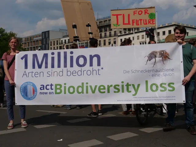 The image shows a group of people standing on the road, holding a banner that reads "1 million act...