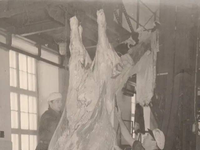 The image shows two men working on a large piece of meat in a factory. The image is in black and...