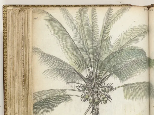 The image shows an open book with a drawing of a palm tree on it. The tree is depicted in great...