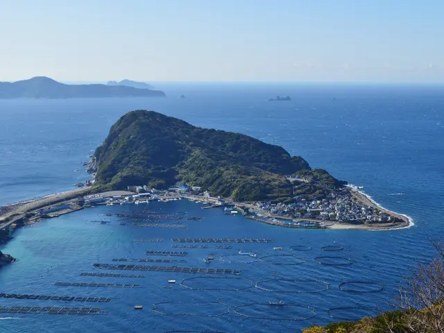 The image shows a small island in the middle of a large body of water, surrounded by lush green...