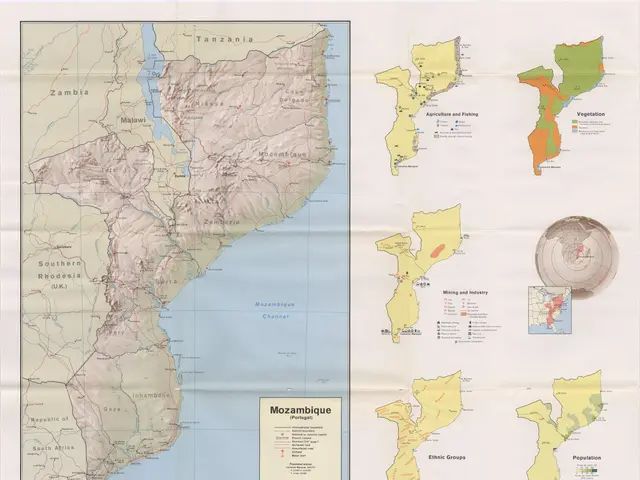 The image shows a poster of a map of Mozambique with its provinces and their capitals. The map is...
