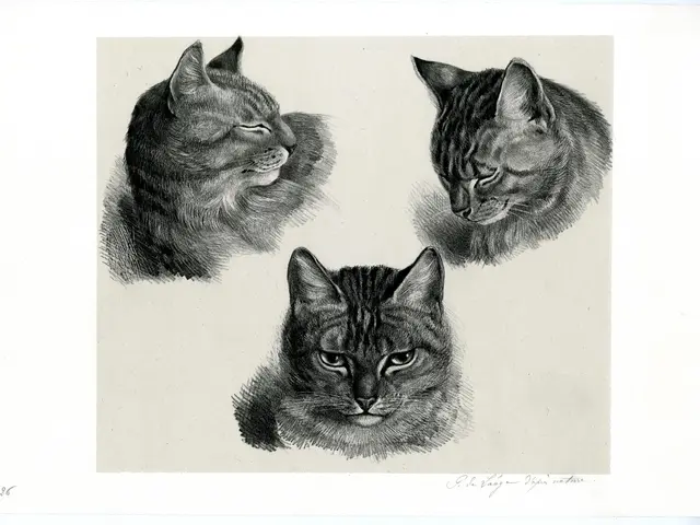 The image shows a black and white drawing of three cats on a white background. The cats are...