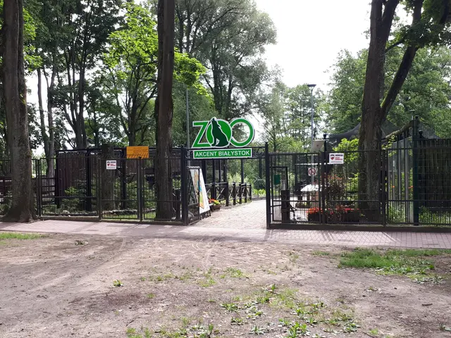 The image shows the entrance to a zoo with a sign that reads "Zoo" surrounded by a metal fence, a...