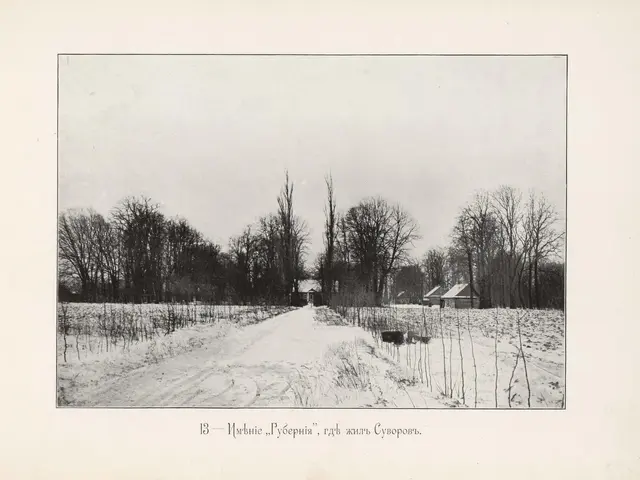 The image shows a black and white photo of a snowy road with trees and houses in the background. At...