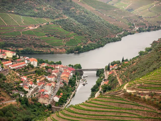The image shows a picturesque view of the Douro Valley in Portugal, with a river running through...