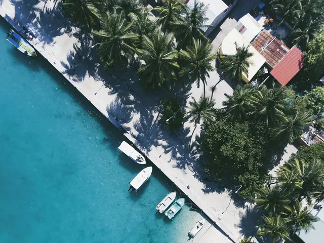 The image shows an aerial view of a beach with boats docked in the water, surrounded by lush green...