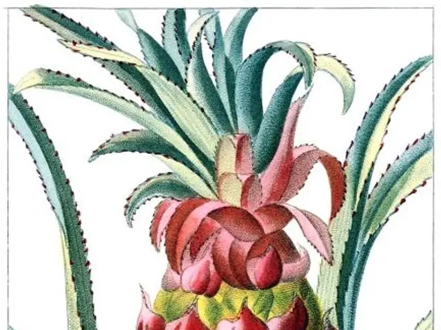 The image shows a painting of a pineapple on a white background with text at the bottom. The...