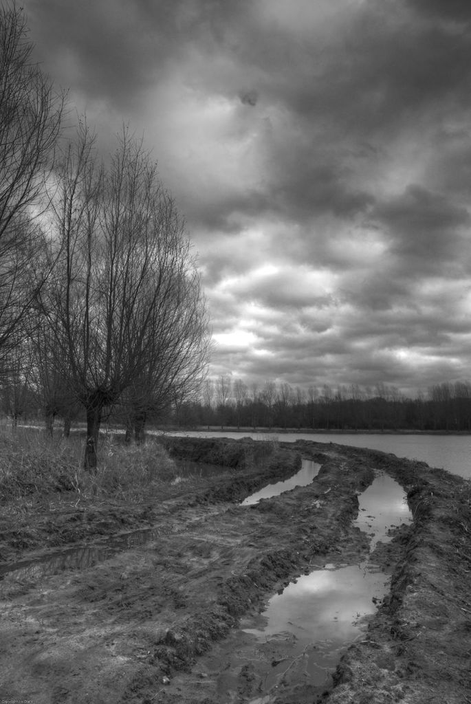 In New York State, some of the nation's most picturesque natural landscapes are found, and nestled...